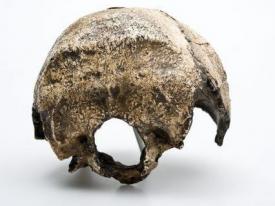 2 - Pléistocène moyen (-780 ka ) : les humains d'avant Néandertal