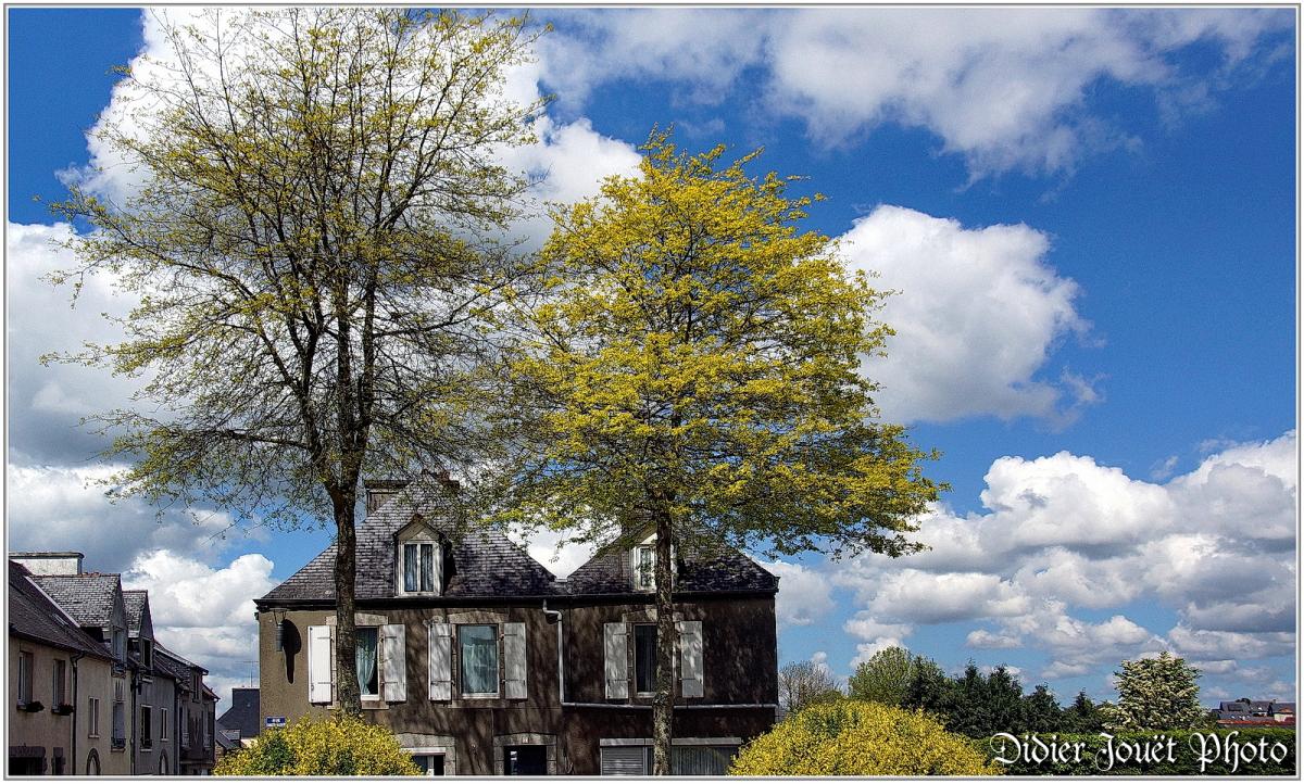 (29) Finistère - Carhaix-Plouguer (2)