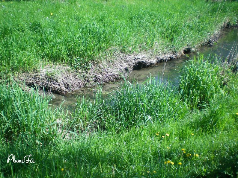 Image001.jpg