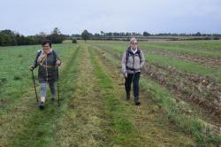 La randonnée du 6 octobre à Fontenay-le-Pesnel
