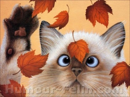 Vendredi senryû, haïku sur l'automne...