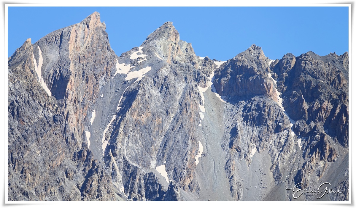 A la rencontre de l'Edelweiss