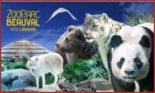 ღ꧁ღ╭⊱ꕥ   41 Loir et Cher  ꕥ⊱╮ღ꧂ღ