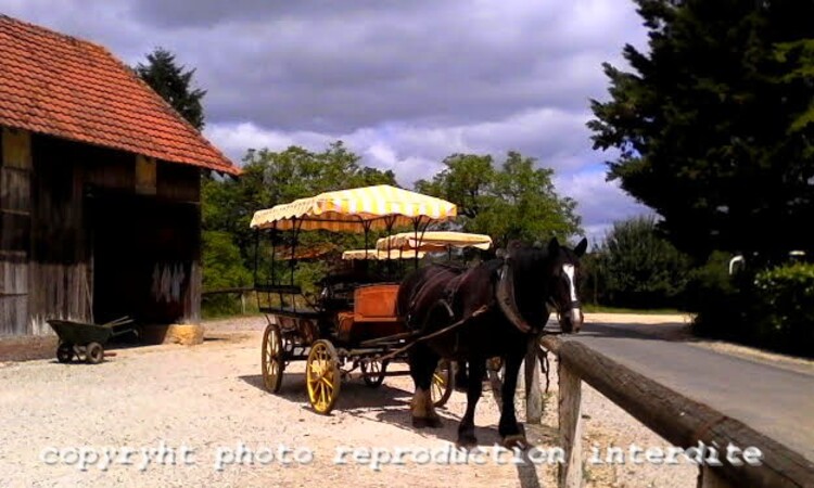 Mazeyrolles 24550 le Perigord en Calèche