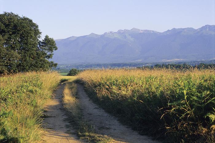 Département des Hautes Pyrénées