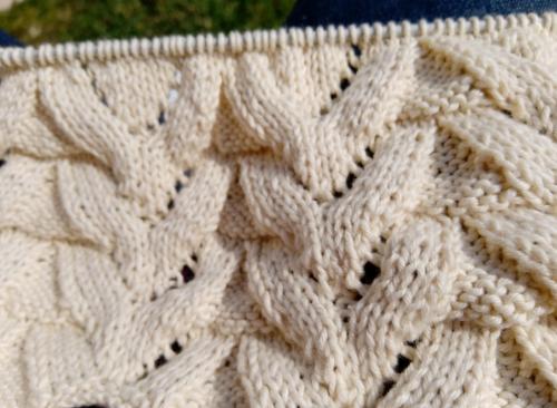 Gravhelio;                                   sont à l'honneur