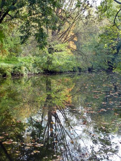 Randonnée le long de l'Yerres