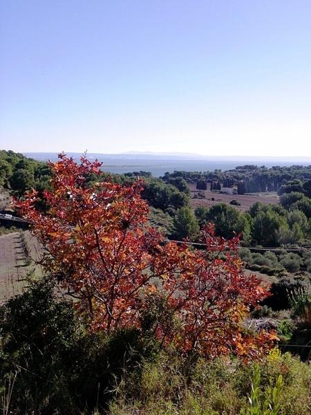 Istres colline (3)