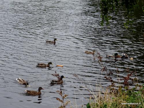 Lundi 21 au Dimanche 27.09 + Bonus