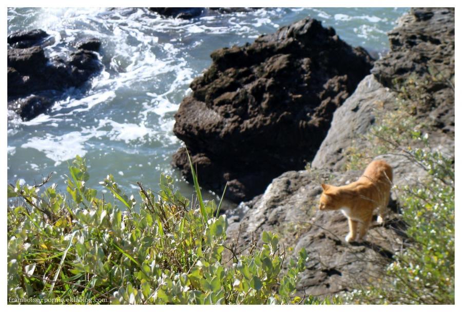 Sainte Marie sur Mer 